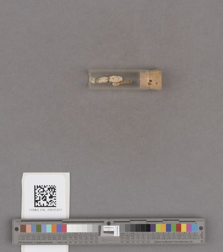 NSF ADBC EPICC TCN