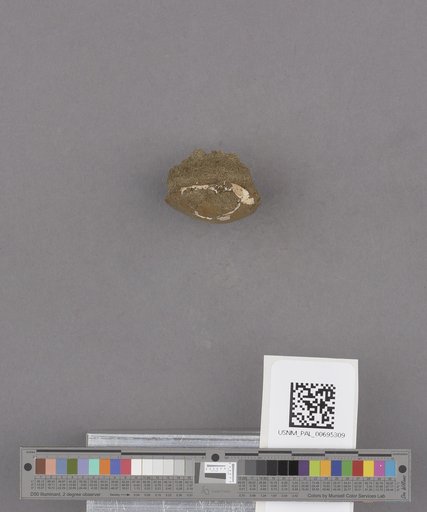 NSF ADBC EPICC TCN