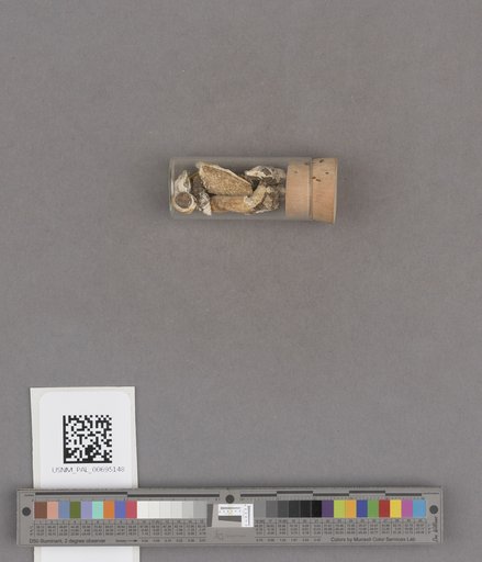 NSF ADBC EPICC TCN