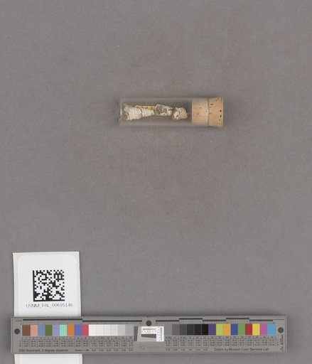 NSF ADBC EPICC TCN
