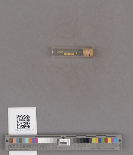 NSF ADBC EPICC TCN