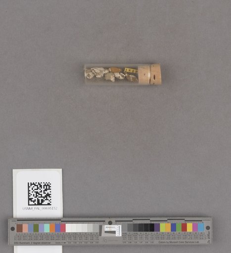 NSF ADBC EPICC TCN