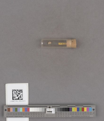 NSF ADBC EPICC TCN