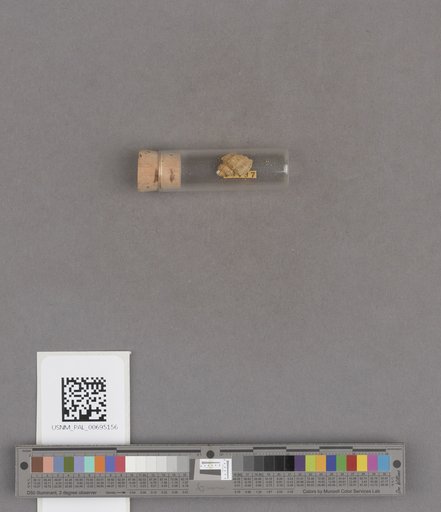 NSF ADBC EPICC TCN