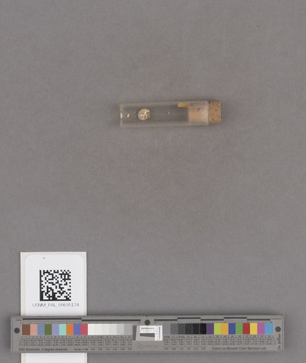 NSF ADBC EPICC TCN