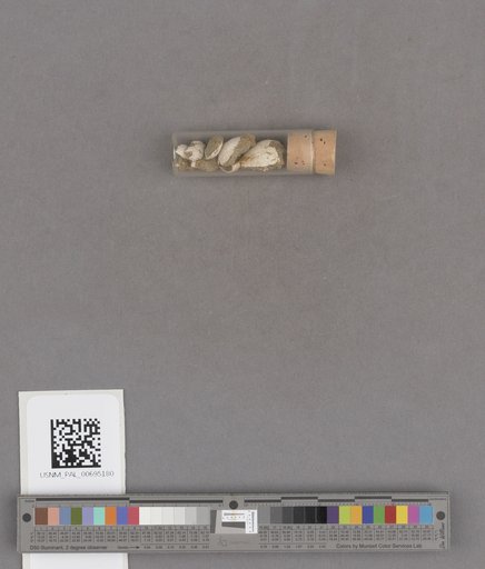 NSF ADBC EPICC TCN