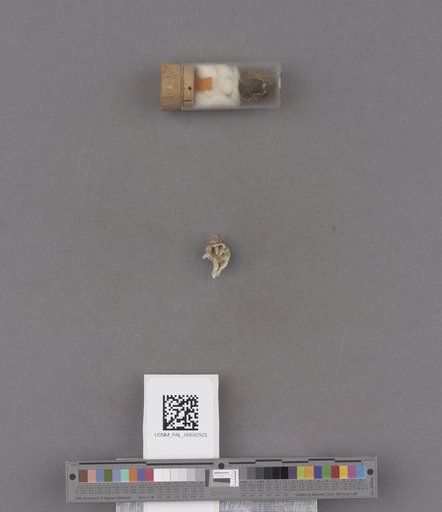 NSF ADBC EPICC TCN