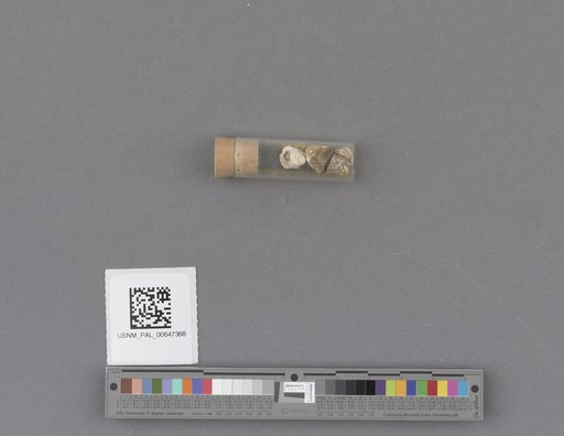 NSF ADBC EPICC TCN