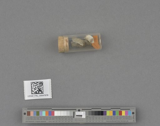 NSF ADBC EPICC TCN