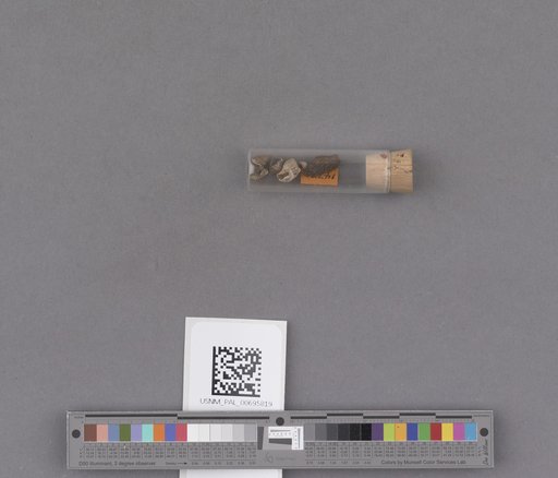 NSF ADBC EPICC TCN