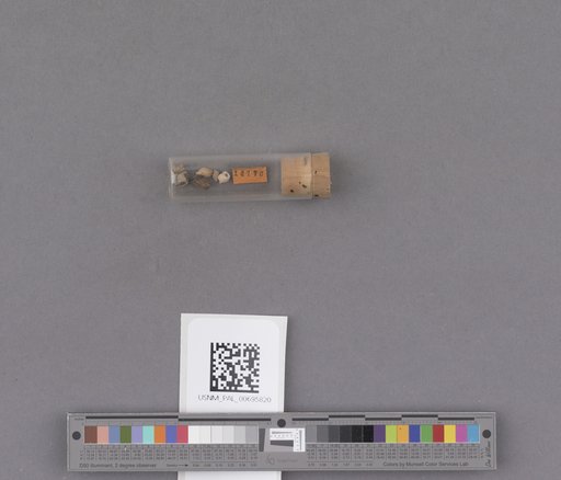NSF ADBC EPICC TCN