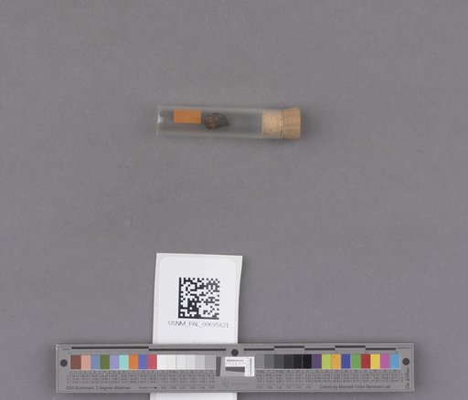 NSF ADBC EPICC TCN