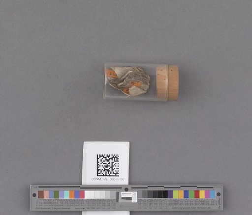 NSF ADBC EPICC TCN