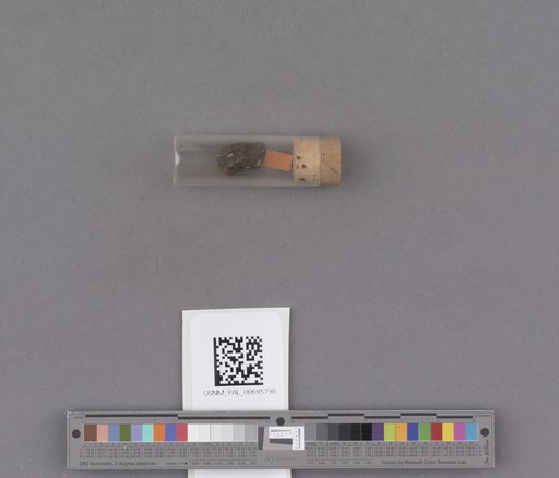 NSF ADBC EPICC TCN