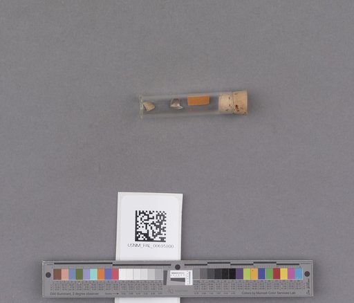 NSF ADBC EPICC TCN
