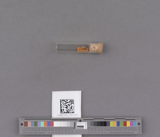 NSF ADBC EPICC TCN