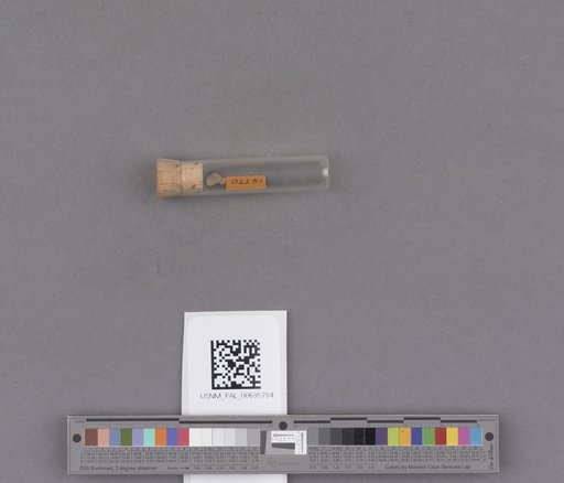 NSF ADBC EPICC TCN