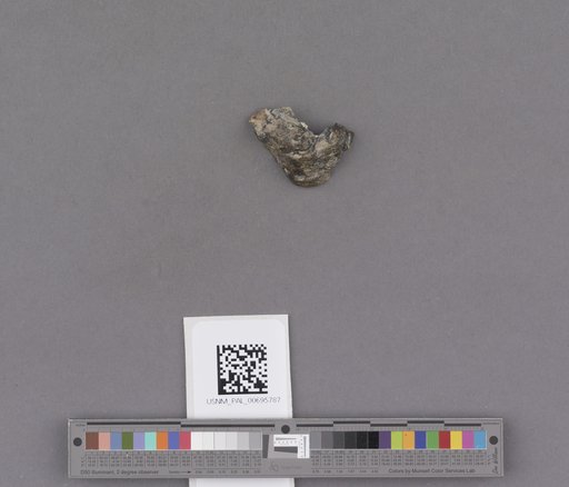 NSF ADBC EPICC TCN
