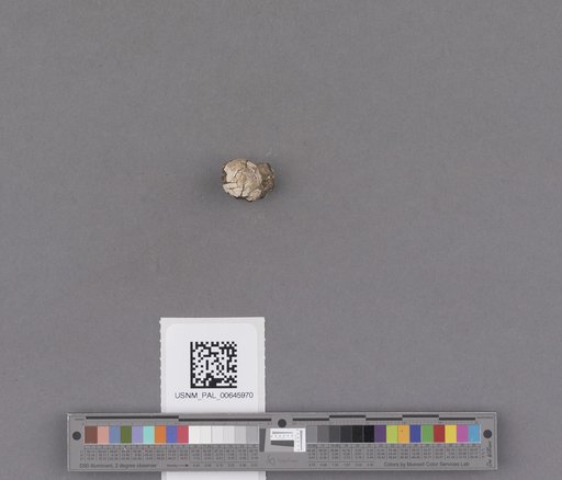 NSF ADBC EPICC TCN