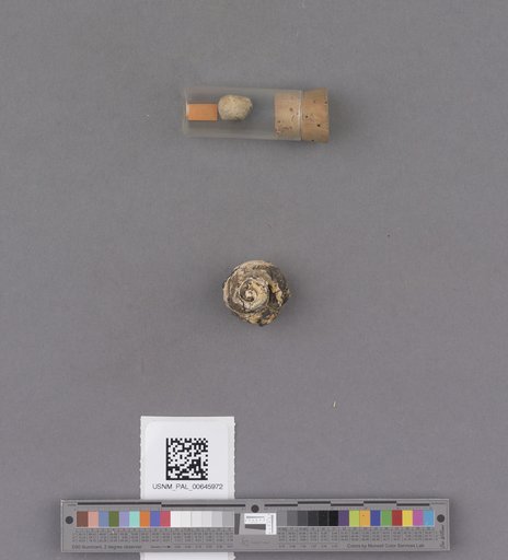 NSF ADBC EPICC TCN