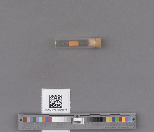 NSF ADBC EPICC TCN