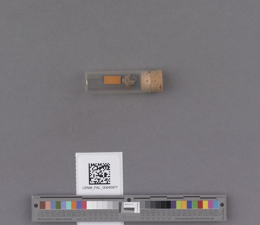 NSF ADBC EPICC TCN