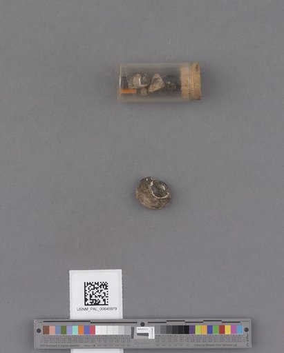 NSF ADBC EPICC TCN