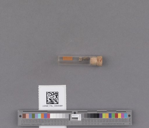NSF ADBC EPICC TCN