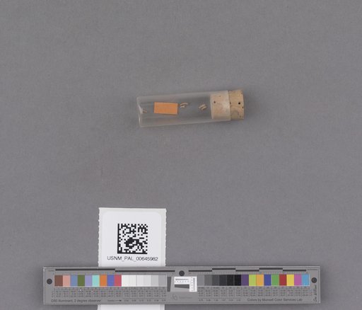 NSF ADBC EPICC TCN