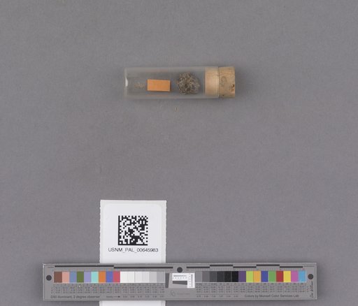 NSF ADBC EPICC TCN