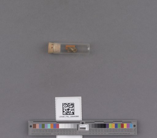 NSF ADBC EPICC TCN