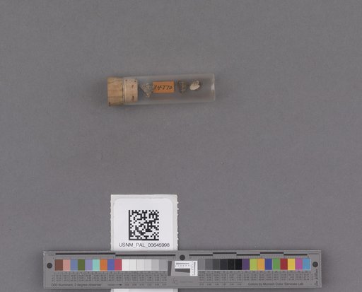 NSF ADBC EPICC TCN