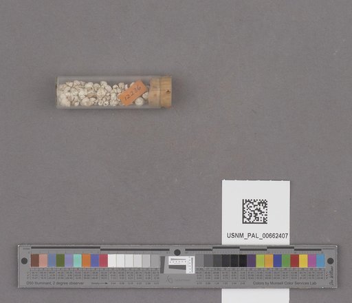 NSF ADBC EPICC TCN
