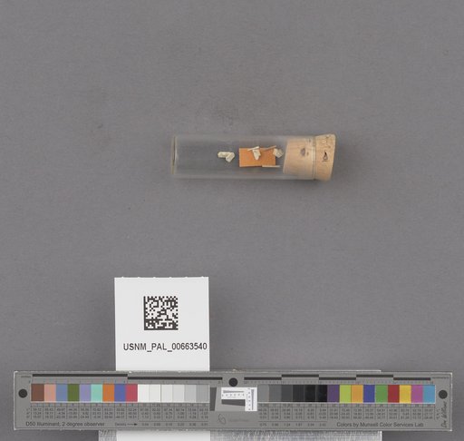 NSF ADBC EPICC TCN