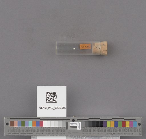 NSF ADBC EPICC TCN