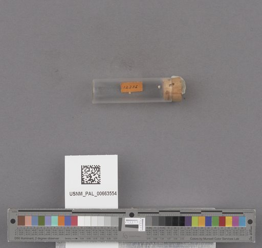NSF ADBC EPICC TCN