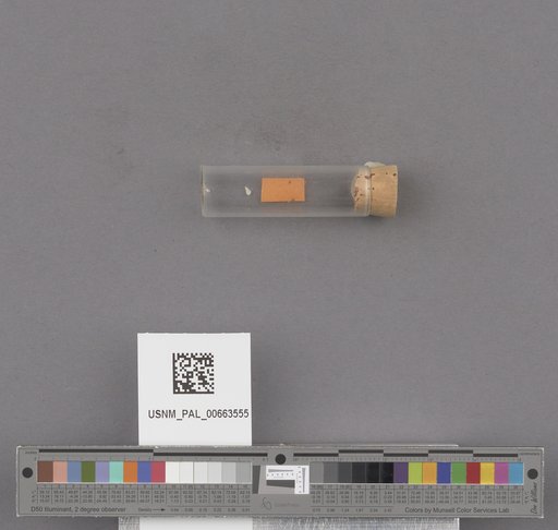 NSF ADBC EPICC TCN