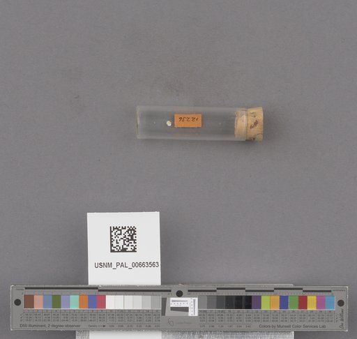 NSF ADBC EPICC TCN