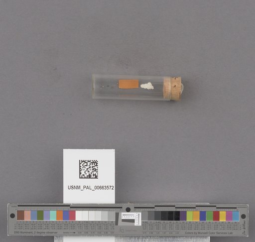 NSF ADBC EPICC TCN