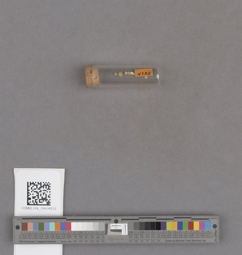 NSF ADBC EPICC TCN