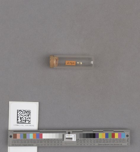 NSF ADBC EPICC TCN