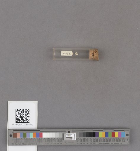NSF ADBC EPICC TCN