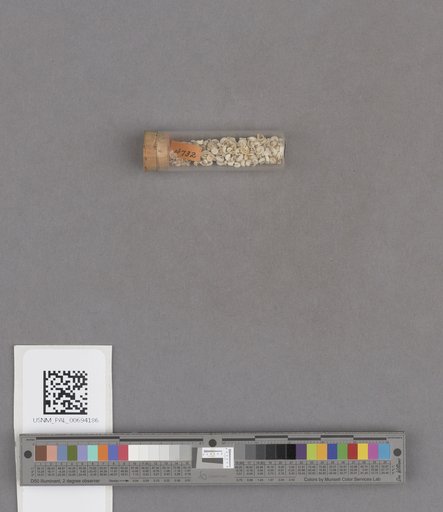 NSF ADBC EPICC TCN