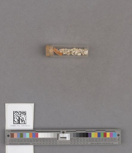 NSF ADBC EPICC TCN