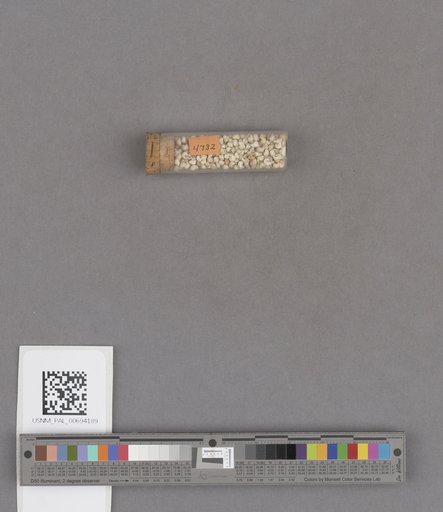 NSF ADBC EPICC TCN