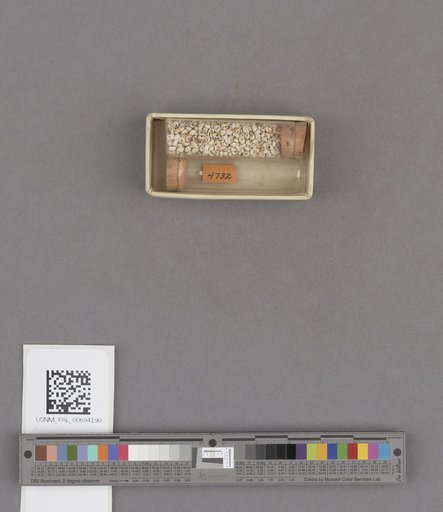 NSF ADBC EPICC TCN