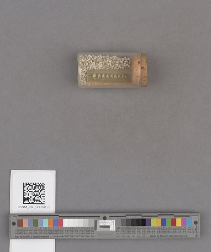 NSF ADBC EPICC TCN