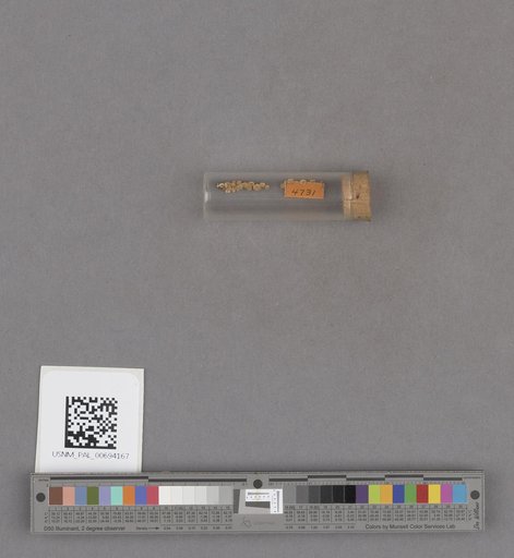 NSF ADBC EPICC TCN