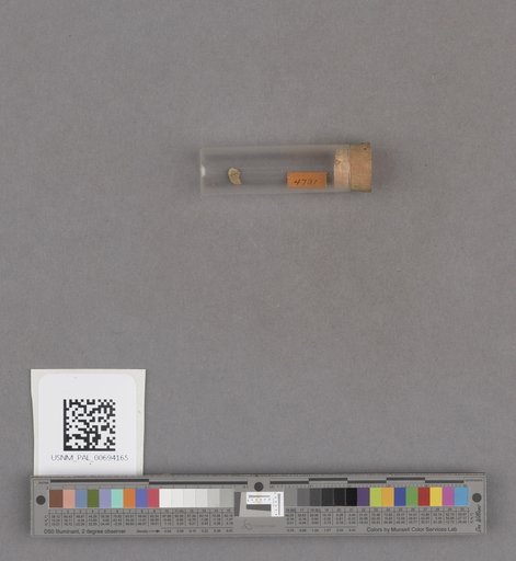 NSF ADBC EPICC TCN