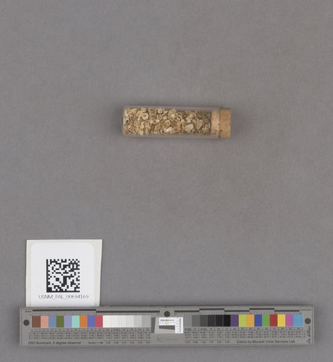 NSF ADBC EPICC TCN
